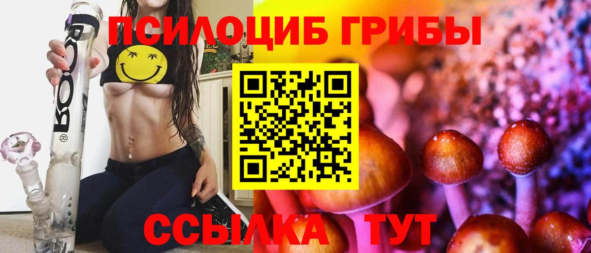 Долгопрудный  Псилоцибиновые грибы Psilocybe  Вход с VPN 
